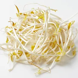 豆芽的照片