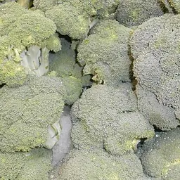 西兰花的照片