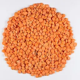 小扁豆（煮熟）的照片