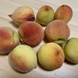 桃子的照片