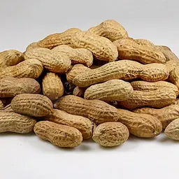 花生的照片