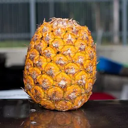 菠萝的照片