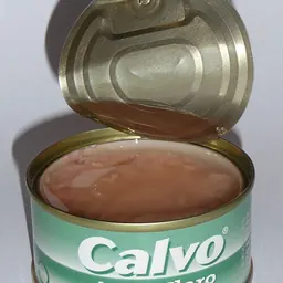 水浸金枪鱼罐头的照片